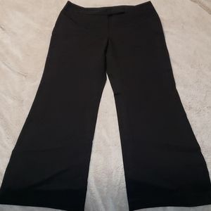 Express Pants